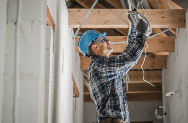 Best Electric Panel Repair  in Blountville, TN